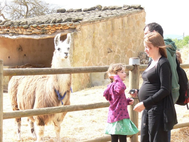 Visitando las llamas